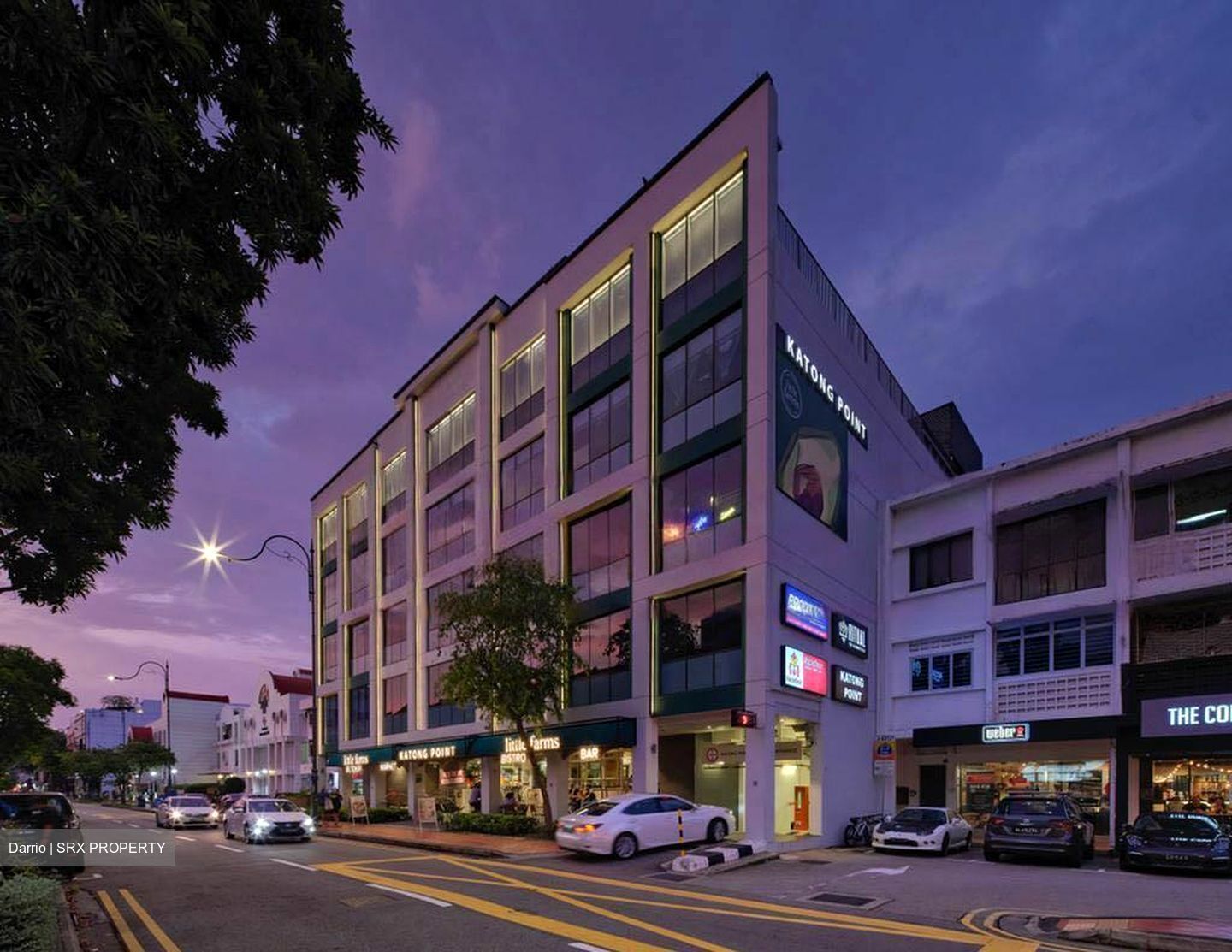 Breezeway In Katong (D15), Shop House #487816221